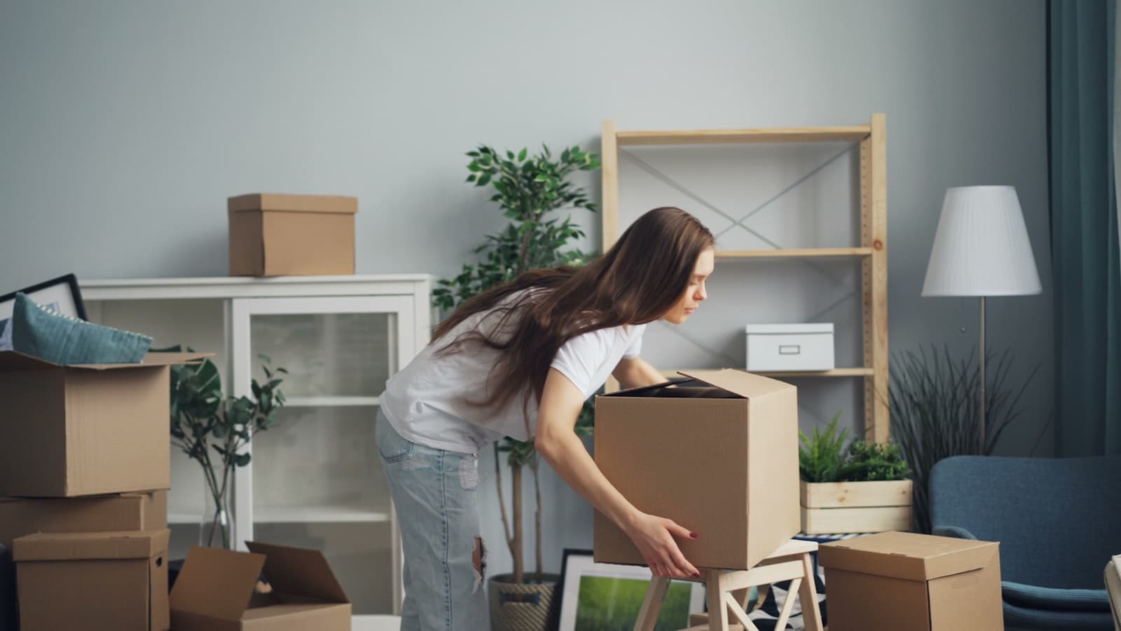 Move-In / Move-Out